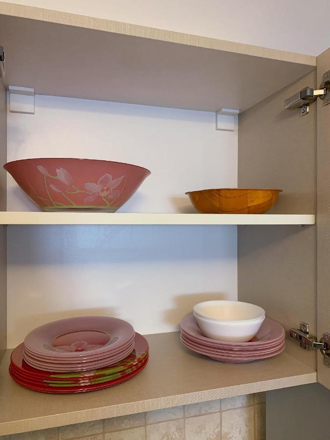 ブラショフCasa Carolアパートメント エクステリア 写真
